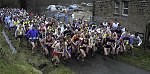 Click on thumbnail for larger photo