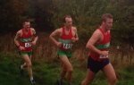 Click on thumbnail for larger photo