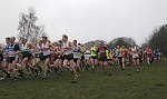 Click on thumbnail for larger photo