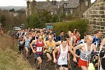 Click on thumbnail for larger photo