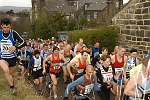 Click on thumbnail for larger photo