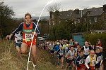 Click on thumbnail for larger photo