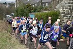 Click on thumbnail for larger photo