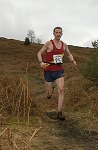 Click on thumbnail for larger photo