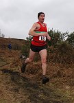 Click on thumbnail for larger photo