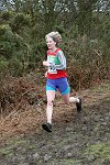 Click on thumbnail for larger photo