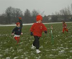 Click on thumbnail for larger photo