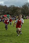 Click on thumbnail for larger photo