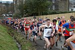 Click on thumbnail for larger photo