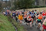 Click on thumbnail for larger photo