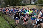 Click on thumbnail for larger photo