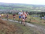 Click on thumbnail for larger photo