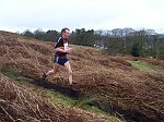 Click on thumbnail for larger photo