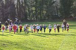 Click on thumbnail for larger photo