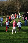 Click on thumbnail for larger photo