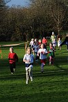 Click on thumbnail for larger photo