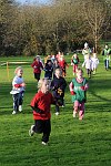 Click on thumbnail for larger photo