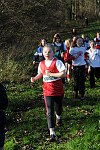 Click on thumbnail for larger photo