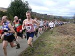 Click on thumbnail for larger photo