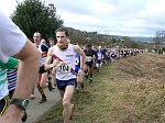 Click on thumbnail for larger photo