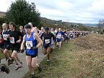 Click on thumbnail for larger photo
