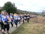 Click on thumbnail for larger photo