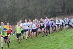 Click on thumbnail for larger photo