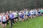 Click on thumbnail for larger photo