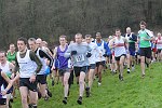 Click on thumbnail for larger photo