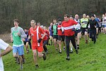 Click on thumbnail for larger photo