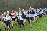 Click on thumbnail for larger photo