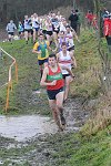 Click on thumbnail for larger photo