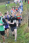 Click on thumbnail for larger photo