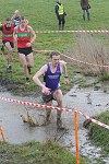 Click on thumbnail for larger photo