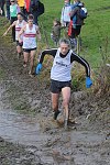 Click on thumbnail for larger photo