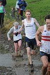 Click on thumbnail for larger photo