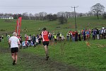 Click on thumbnail for larger photo