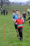 Click on thumbnail for larger photo