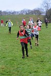 Click on thumbnail for larger photo