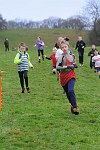 Click on thumbnail for larger photo