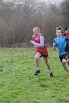 Click on thumbnail for larger photo