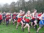 Click on thumbnail for larger photo