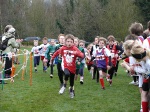 Click on thumbnail for larger photo