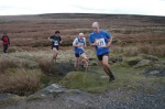 Click on thumbnail for larger photo