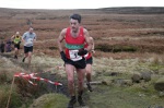 Click on thumbnail for larger photo