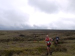 Click on thumbnail for larger photo