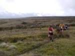 Click on thumbnail for larger photo