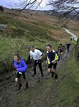 Click on thumbnail for larger photo